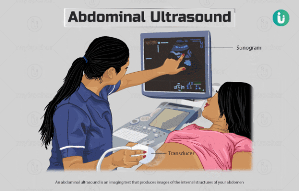 Whole Abdomen Ultrasound